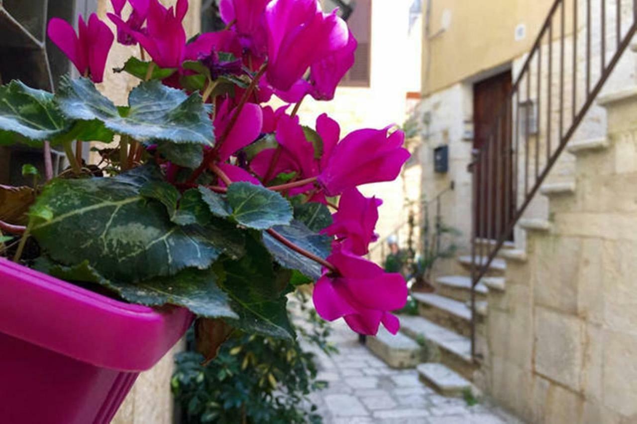 Willa Nel Borgo Antico Giovinazzo Zewnętrze zdjęcie